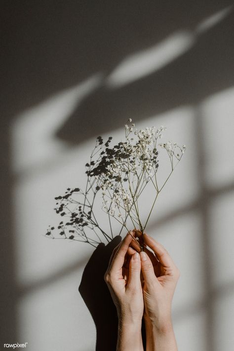 Woman holding white flowers on a gray background | premium image by rawpixel.com / McKinsey 29 Aesthetic, Hands Holding Flowers, Photo Of Woman, Look Wallpaper, Wallpaper Estetika, Flowers Aesthetic, Holding Flowers, Gray Aesthetic, Picture Collage Wall