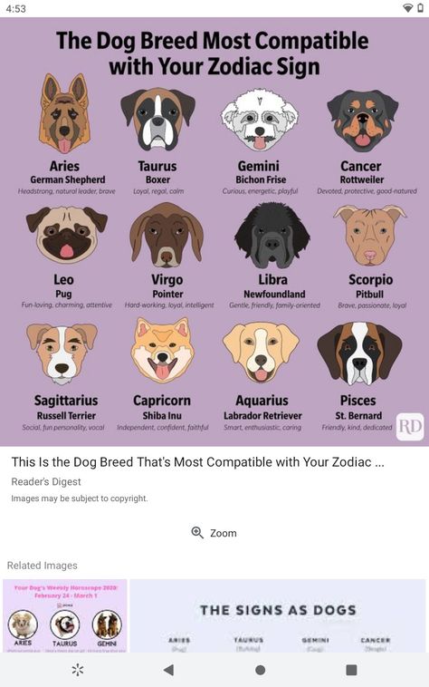 Dog zodiac Zodiac Dogs, Zodiac Signs As Dogs, Dog Zodiac, Based On Your Zodiac Sign, Your Pet, Cartoon Animals, Fun Games, Zodiac Sign, Zodiac Signs