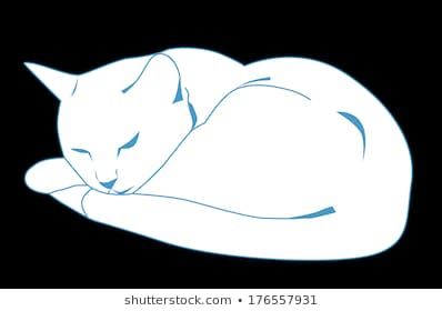 Cat Lying Down Illustration, Curled Cat Drawing, Lying Cat Drawing, Cat Lying Down Reference, Cat Curled Up Drawing, Cat Curled Up, Cat Lying Down Drawing, Cat Lying Down, Sleepy Cat Drawing