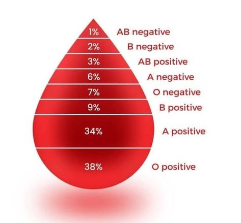 What's your blood group? Blood Group Chart, Abo Blood Group System, Ab Positive, Blood Type Personality, Medical Things, Myofascial Pain Syndrome, Type Personality, Blood Group, Electrical Circuit