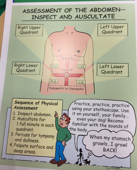 Abdominal assessment Abdomen Assessment Nursing, Abdominal Assessment Nursing, Abdominal Examination, Health Assessment Nursing, Assessment Nursing, Nurse Notes, Nursing Cheat, Nursing Assessment, Health Assessment