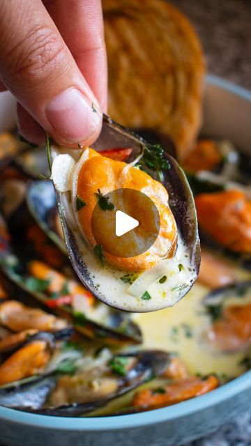 Green Mussels Recipe, Frozen Mussels Recipe, Mussels In White Wine Sauce Garlic Cream, Mussles Recipe White Wine Cream, Mussels In White Wine Sauce Garlic, Mussels In White Wine Sauce, Clams And Mussels In White Wine Sauce, Garlic Mussels, Chilli Mussels