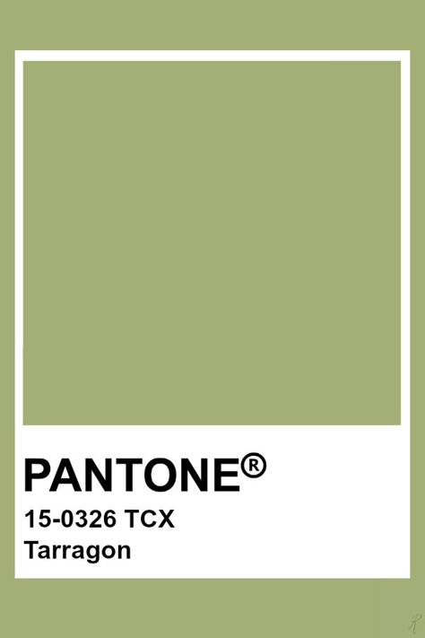 Pantone Tarragon Green Pantone, Pantone Tcx, Pantone Green, Pantone Color Chart, Pantone Swatches, Pantone Palette, Pantone Colour Palettes, Pantone Colors, Paint Swatches