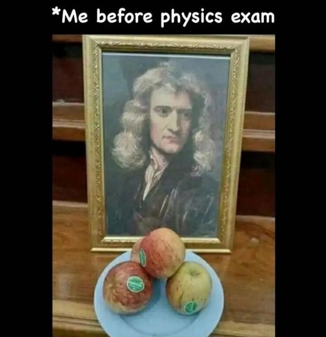 Physics Jokes, Nerd Memes, Nerdy Jokes, Physics Memes, Nerdy Humor, Studying Memes, Science Puns, Nerd Jokes, History Jokes