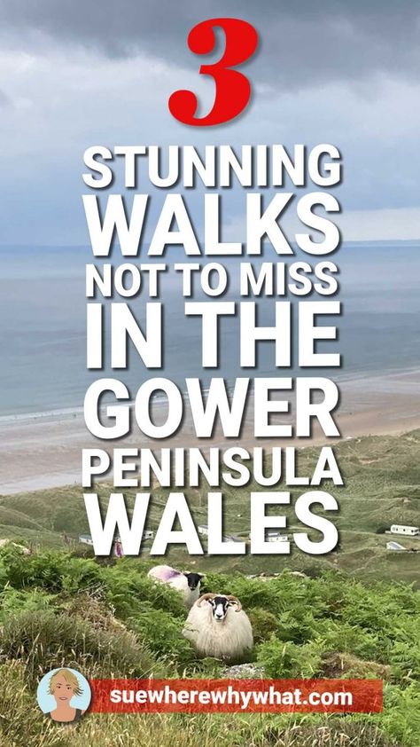 3 Amazing Walks in the Gower Peninsula – Discovering South Wales Gower Peninsula Wales, Rhossili Bay, Wales Beach, Gower Peninsula, Wales Travel, United Kingdom Travel, Visiting England, Hiking Destinations, Wales Uk