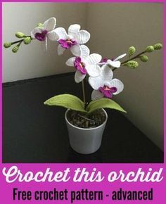 Crochet Orchid Pattern, Crochet Orchid, Cactus En Crochet, Orchid Pattern, Bouquet Crochet, Crochet Puff Flower, Crochet Plants, Beau Crochet, Crochet Garden