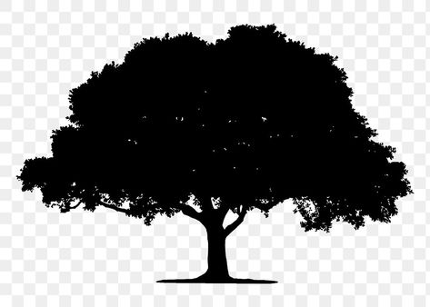 Oak Tree Silhouette, Tree Black And White, Nature Silhouette, Black And White Png, White Oak Tree, Png Black And White, White Png, Tree Vector, Tree Png