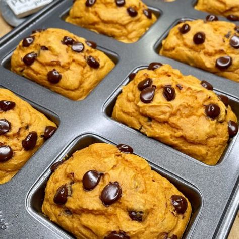 Pumpkin Chocolate Chip Mini Loaves - Diana's Delish Dishes Chocolate Chip Mini Loaves, Pumpkin Loaves, Sugar Free Yellow Cake, Mini Loaves, Pumpkin Loaf, Pumpkin Chocolate Chip, Vegetarian Cake, Mini Loaf, Pumpkin Chocolate Chips