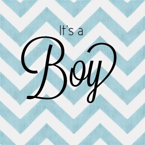 Holly Muffin - It's A Boy announcement - blue chevron Baby Boy Announcement Quotes, Gold Baby Nursery, Boy Announcement, It's A Boy Announcement, Pregnancy Gender, Gender Announcements, Baby Boy Announcement, Having A Baby Boy, Its A Boy