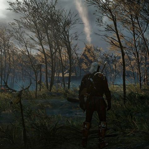 Witcher 3 Aesthetic, The Witcher Game, Game Aesthetic, Geralt Of Rivia, Witcher 3, The Witcher 3, The Witcher, Bradley Mountain, Video Games