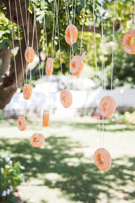 Donut Games, Outdoor Wedding Games, Lawn Games Wedding, Kids Budget, Backyard Birthday, Halloween Games For Kids, Garden Games, Adult Halloween Party, Donut Party