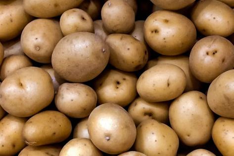 When To Harvest Potatoes, Harvest Potatoes, Harvesting Potatoes, Small Potato, Landscaping Tips, Veggie Garden, Perennial Plants, Potato, Canning