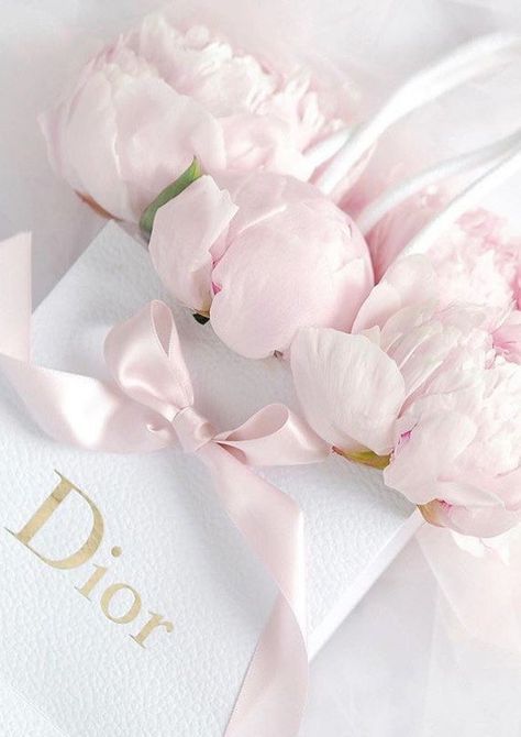 Dior art illustration photography print pink designer home decor floral pretty shopping bag Pink Peony Aesthetic, Pink Peonies Aesthetic, Pink Dior Aesthetic, Peonies Aesthetic, Dior Flowers, Peonies Background, Peonies Wallpaper, Peony Aesthetic, Pastel Pink Aesthetic