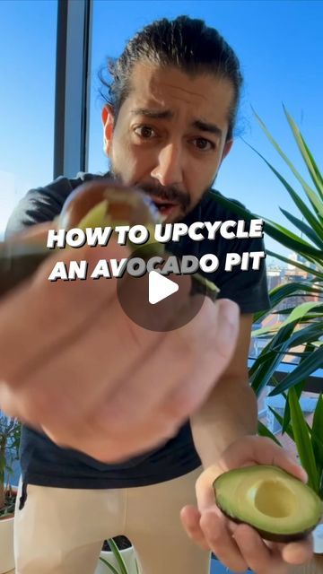 9M views · 749K likes | Armen Adamjan on Instagram: "How to Upcycle an avocado pit! 🥑 So many of us eat avocados and just throw out the middle.. but let that thing produce cleaner air in your home, give it a chance to live and be fascinated by its growth and if you just take good care of it, it’ll reward you with more avocados! 🤩🌱
.
.
.
.
#avocado #lifehacks #tipsandtricks #lifestyle #homemade #diy #plants #plantbased #vegan" Planting Avocado Pit, Grow Avocado From Pit, Avocado Plant From Seed, Avocado Seed Growing, Gardening Veggies, Backyard Raised Garden, Easy Corn Casserole, Regrow Vegetables, Avocado Pit