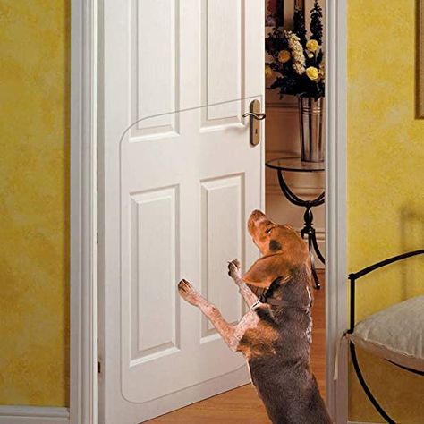 Glass Storm Doors, Clear Door, Door Protector, Door Guard, Pet Door, Sliding Patio Doors, Dog Door, Door Makeover, Household Furniture