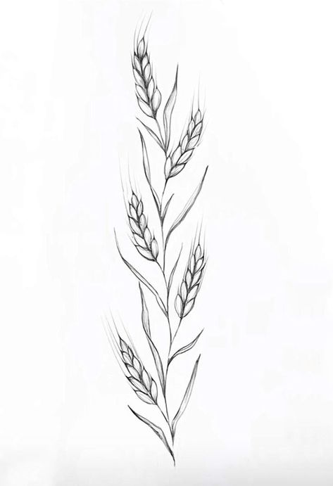 Pin by Karina Apilat on Pomysły na tatuaż in 2022 | Tattoos, Leaf tattoos, Maple leaf tattoo Tattoo Farm, Virgo Sign Tattoo, Wheat Drawing, Farm Tattoo, Wheat Tattoo, Tattoo Main, Sparrow Tattoo Design, Black Line Tattoo, Small Chest Tattoos