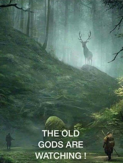 They’re all watching on this National Holiday. The Sidhe, Cailleach and the Old Gods. We await their return.🔥🐍🦌☘️ The Old Gods, Old Gods, Viking Quotes, Male Witch, Pagan Gods, Viking Life, Norse Pagan, Pagan Art, Celtic Mythology