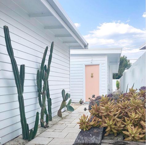 my scandinavian home: Before and After: A Dreamy Beach House On Australia's Gold Coast Garden Australia, Pineapple Door Knocker, Palm Springs Houses, Before And After Transformation, My Scandinavian Home, Dreamy Beach, Red Brick House, Pink Door, Pink Tiles