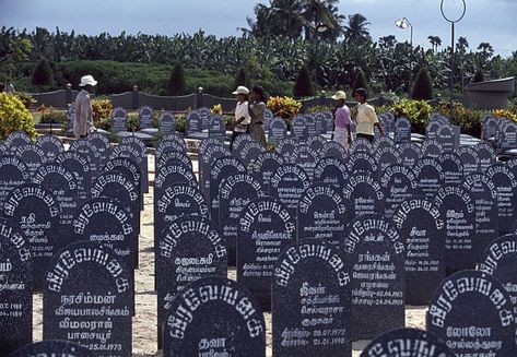 4,055 Tamil Ltte Photos and Premium High Res Pictures - Getty Images High Res, Getty Images, Photo Image, How To Apply, Stock Photos, History, Quick Saves