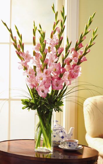 Gladiolus Arrangements, Luncheon Ideas, Quinceanera Centerpieces, Plant Styling, Gladiolus Flower, Gladioli, Flower Vase Arrangements, Vase Arrangements, Beautiful Flower Arrangements