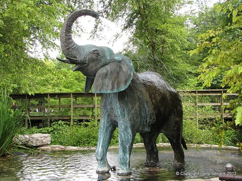 Elephant Fountain  St. Louis Zoo  Artist William Timym  1980s Elephant Fountain, Large Outdoor Fountains, Maharaj Wallpapers, Sculpture Fountain, St Louis Zoo, Outdoor Fountains, Bronze Sculpture Animal, Elephant Carving, Feng Shui Decor