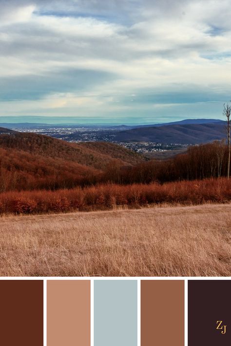 ZJ Colour Palette 495 #colourpalette #colourinspiration Paint Color Combos, Colorful Interior Design, Design Palette, Pallet Painting, Color Harmony, Perfect Palette, Colour Schemes, Color Pallets, Color Of Life