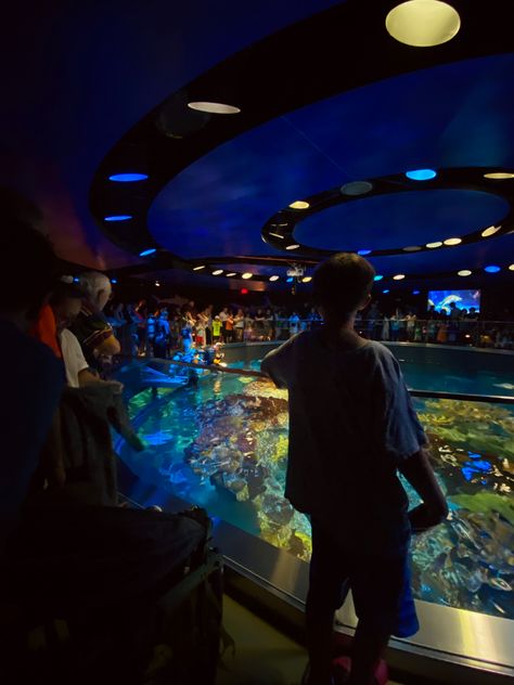 new england aquarium aesthetic summer Boston Aquarium, Aquarium Aesthetic, Public Aquarium, New England Aquarium, Aesthetic Summer, Dnd Characters, New Yorker, Washington Dc, New England