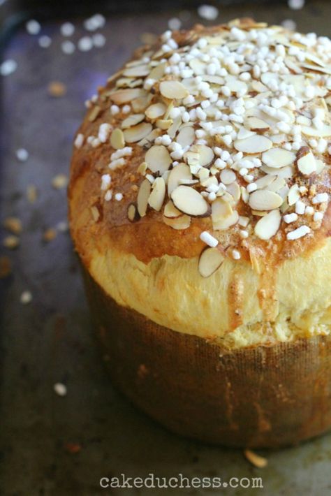 Sicilian Orange Sweet Bread is a stunning citrus infused bread. Super fluffy and worth the effort to put together. Just perfect for Christmas or Easter morning. #easterbread #sicilianbread #baking #yeastbread #italianrecipe #italianbread #twelveloaves #savoringitaly #breadrecipe #holidaybread Panettone Recipe, Focaccia Dolce, A Loaf Of Bread, Pane Dolce, Easter Bread, Easter Morning, Sicilian Recipes, Loaf Of Bread, Quick Bread Recipes