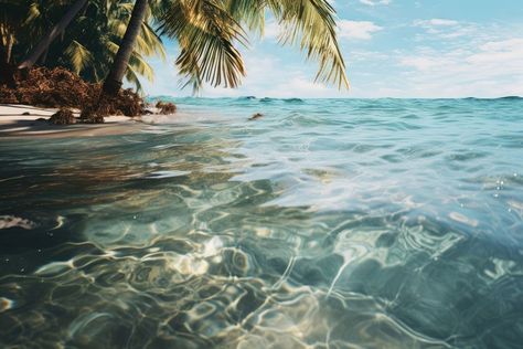 Beach landscape outdoors tropical.  | premium image by rawpixel.com Beach Wallpaper Laptop, Beach Wallpaper Desktop, Desktop Wallpaper Hd 1080p, Tree Scenery, Palm Tree Beach, Palm Trees Beach, Wallpaper Computer, Tropical Wallpaper, Plant Aesthetic