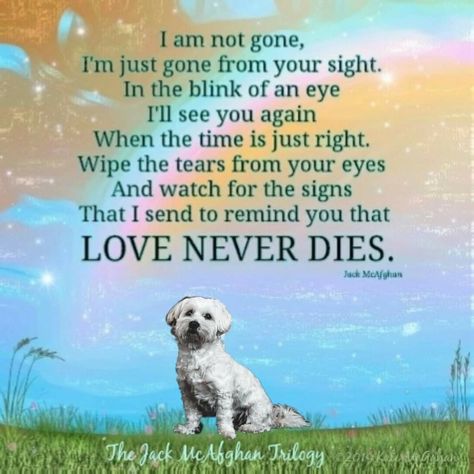 Jack Mcafghan, Losing A Dog Quotes, Losing A Pet Quotes, Dog Emotions, Miss My Dog, Pet Quotes, Dog Poems, Hug Quotes, Dog Quotes Love