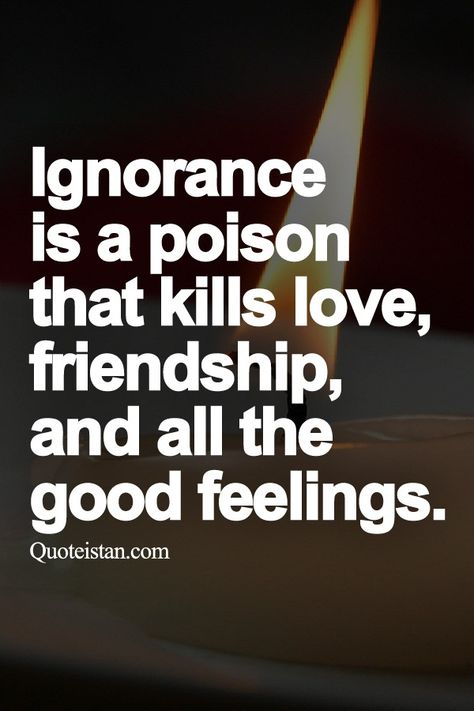 Ignorance is a poison that kills love, friendship, and all the good feelings. Ignorance Quotes, Being Ignored Quotes, Good Feelings, Best Positive Quotes, Joyce Meyer, Trendy Quotes, People Quotes, New Quotes, Amazing Quotes