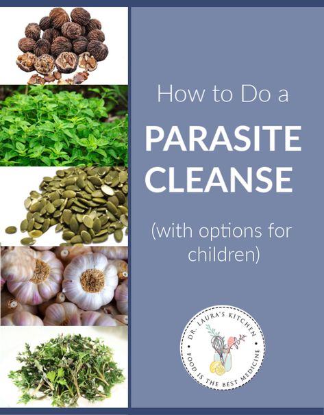 How to Do a Parasite Cleanse (with Options for Children) - Dr. Laura's Kitchen Parasitic Cleanse Natural, Zuma Parasite Cleanse, How To Parasite Cleanse, At Home Parasite Cleanse, Best Parasite Cleanse Products, Parasite Cleanse Protocol, Essential Oils For Parasites In Humans, Human Parasite Cleanse, Parasite And Heavy Metal Cleanse