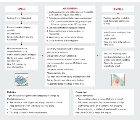 RACGP - Ins and outs of urinary catheters Urinary System Nursing Notes, Urinary Catheter Insertion, Indwelling Catheter Nursing, Central Venous Catheter Nursing, Nurse Charting, Urinary Catheterization, Urinalysis Cheat Sheet, Charting For Nurses, Foley Catheter