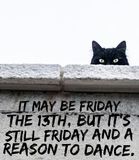 Friday The 13 Quotes Funny, Friday The 13th Quotes, Black Friday Quotes, Good Morning Cat, Autumn Leaves Wallpaper, Happy Friday The 13th, Just A Friend, Morning Cat, Halloween Wallpaper Backgrounds