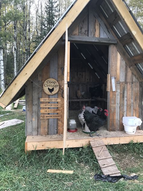 Palette Chicken Coop Diy, Duck House Pallets, Barnwood Chicken Coop, Pallet Coop Chicken, Pallet Duck Coop, Chicken Shelter Ideas, Chicken Coop Aesthetic, Turkey Coop Ideas Buildings, Pallet Chicken Coops