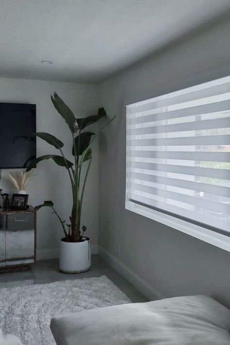 Roller Shades Bedroom, Roller Blinds Bedroom, Zebra Curtains, Grey Roller Blinds, Zebra Shades, Apartment Deco, Zebra Blinds, Living Room Blinds, Basement Living Rooms