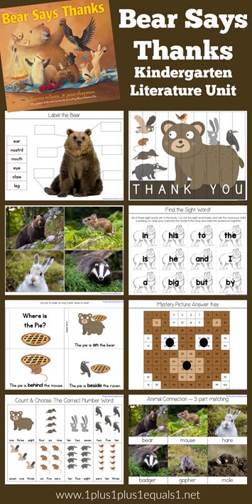 Bear Gives Thanks Activities, Bear Says Thanks Activities, Bear Unit Study, Bear Says Thanks, Homeschool Lesson Planner, Literature Unit Studies, Homeschooling Kindergarten, Thanksgiving Books, Theme Preschool