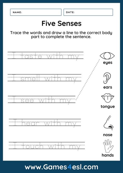 Download these free five senses worksheets and use them in class today. This is a collection of PDF worksheets for teaching about the five senses in English to kids and beginner English language learners. Check them out now! :) Five Senses Worksheet Free Printable, Senses Worksheets For Kids, 5 Senses Writing, 5 Senses Worksheet, Five Senses Worksheet, Five Senses Preschool, Preschool Worksheets Free Printables, Senses Preschool, Worksheet Kindergarten