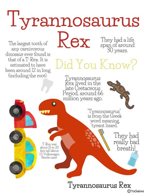 Dinosaur Facts For Kids, Dinosaur Crafts Preschool, Dinosaur Lesson, Dinosaur Classroom, Dinosaur Theme Preschool, Dinosaur Activities Preschool, Dinosaur Facts, Dinosaurs Preschool, Fun Facts For Kids