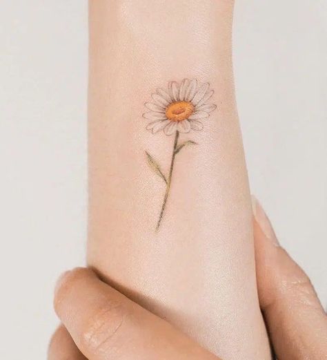 Colour Daisy Tattoo, Coloured Daisy Tattoo, Daisy Color Tattoo, Marguerite Daisy Tattoo, Two Daisies Tattoo, Whoopsie Daisy Tattoo, Colorful Daisy Tattoo, Colored Daisy Tattoo, Shasta Daisy Tattoo