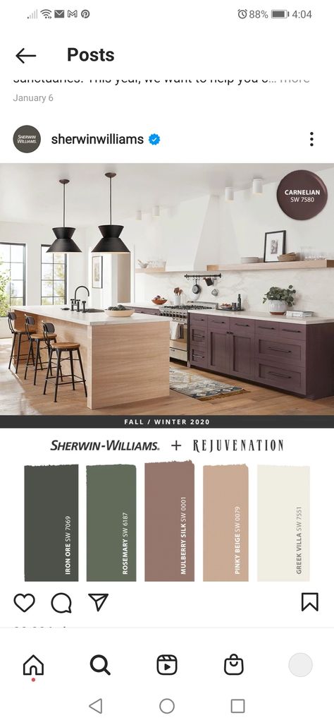 Sherwin Williams Mulberry Silk, Sw Mulberry Silk, Mulberry Silk Sherwin Williams, Sherman Williams, Things For Home, Color Me Beautiful, Primary Bath, Pretty Room, Color Crush