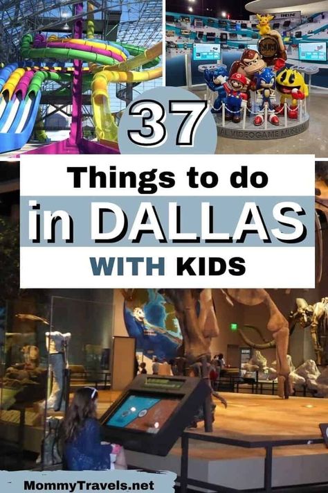 37 Things to do in Dallas with kids #Dallas #Texas Dallas With Kids, Dallas Activities, Dallas Things To Do, Dallas World Aquarium, Things To Do In Dallas, Dallas Travel, Visit Dallas, Kids Things To Do, Things To Do With Kids