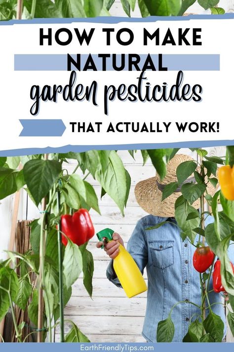 All Natural Garden Pesticide, Natural Repellent For Garden, Natural Bug Repellent For Vegetable Garden, Natural Bug Killer For Garden, Homemade Insecticide For Vegetables, Natural Garden Pesticide, Organic Pest Control For Garden, Natural Pesticides For Vegetable Garden, Natural Insecticide For Garden