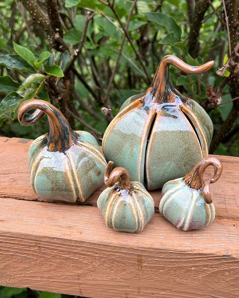 Anita Mraz | My newest family of pumpkins has come out of the kiln. @clayspacelisle #ClaySpaceLisle #pottery #ceramics #instaartist #lisleillinois... | Instagram Fall Ceramics Pottery, Fall Ceramics Ideas, Pumpkin Pottery Ideas, Ceramic Pumpkins Pottery, Ceramic Ideas Pottery, Pottery Pumpkins, Pumpkin Pottery, Ceramic Pumpkins, Holiday Pottery