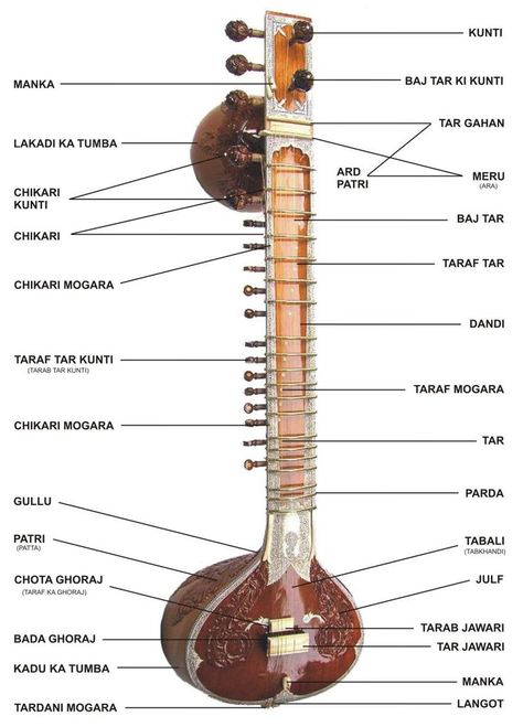 The anatomy of a sitar Sitar Instrument, Indian Instruments, Hindustani Classical Music, Indian Musical Instruments, Ravi Shankar, Indian Classical Music, Norah Jones, Diy Musical Instruments, Indian Music