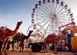 Pushkar Mela, Fairs And Festivals, Indian Village, Jaisalmer, India Tour, Wildlife Sanctuary, Travel Companies, Tourist Places, Udaipur