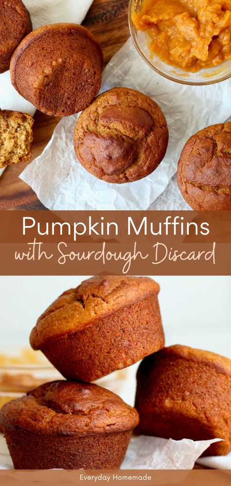 Try these Pumpkin Muffins with Sourdough Discard! This simple and easy muffin recipe uses sourdough starter discard for a quick, same-day fall baking treat. Perfect for breakfast, brunch, or a snack, these sourdough discard pumpkin muffins bring the cozy flavors of autumn to your table. Sourdough Pumpkin Muffins, Sourdough Discard Pumpkin, Spiced Muffins, Sourdough Discard Recipe, Sourdough Starter Discard, Sourdough Pumpkin, Sourdough Muffins, Quick Breakfasts, Pumpkin Muffins Easy