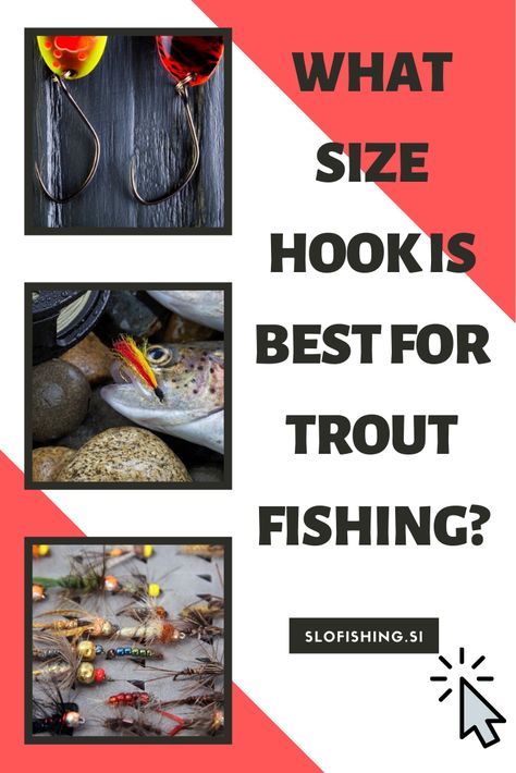 Fishing Hooks and Gear: What Size Hook is Best for Trout Fishing? [Choose Correctly] Trout Fishing Gear, Saltwater Fishing Gear, Hook Line Sinker, Trout Fishing Lures, Fish Types, Fishing Basics, Diy Fishing Lures, Trout Fishing Tips, Tying Knots