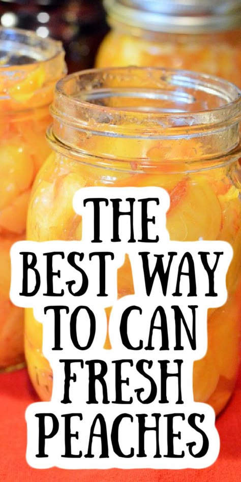 How To Can Peaches Without A Canner, Recipe For Canning Peaches, Fresh Peach Canning Recipes, Canning Fresh Peaches Recipes, Canning Peaches In Water, Ball Canning Peach Recipes, Preserving Fresh Peaches, Preserving Peaches Recipes, Preserving Peaches Canning Recipes