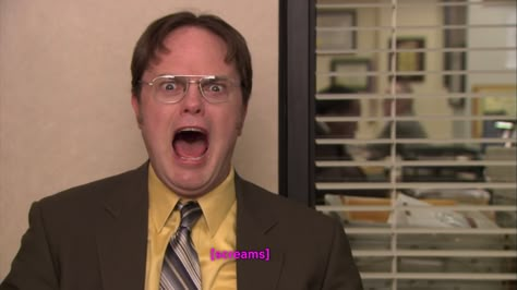 The Office Dwight, Office Jokes, The Office Show, Office Memes, Office Pictures, Office Quotes, Dwight Schrute, Diy Vetement, Reaction Face